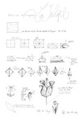 Origami Tulipe FIFI explications