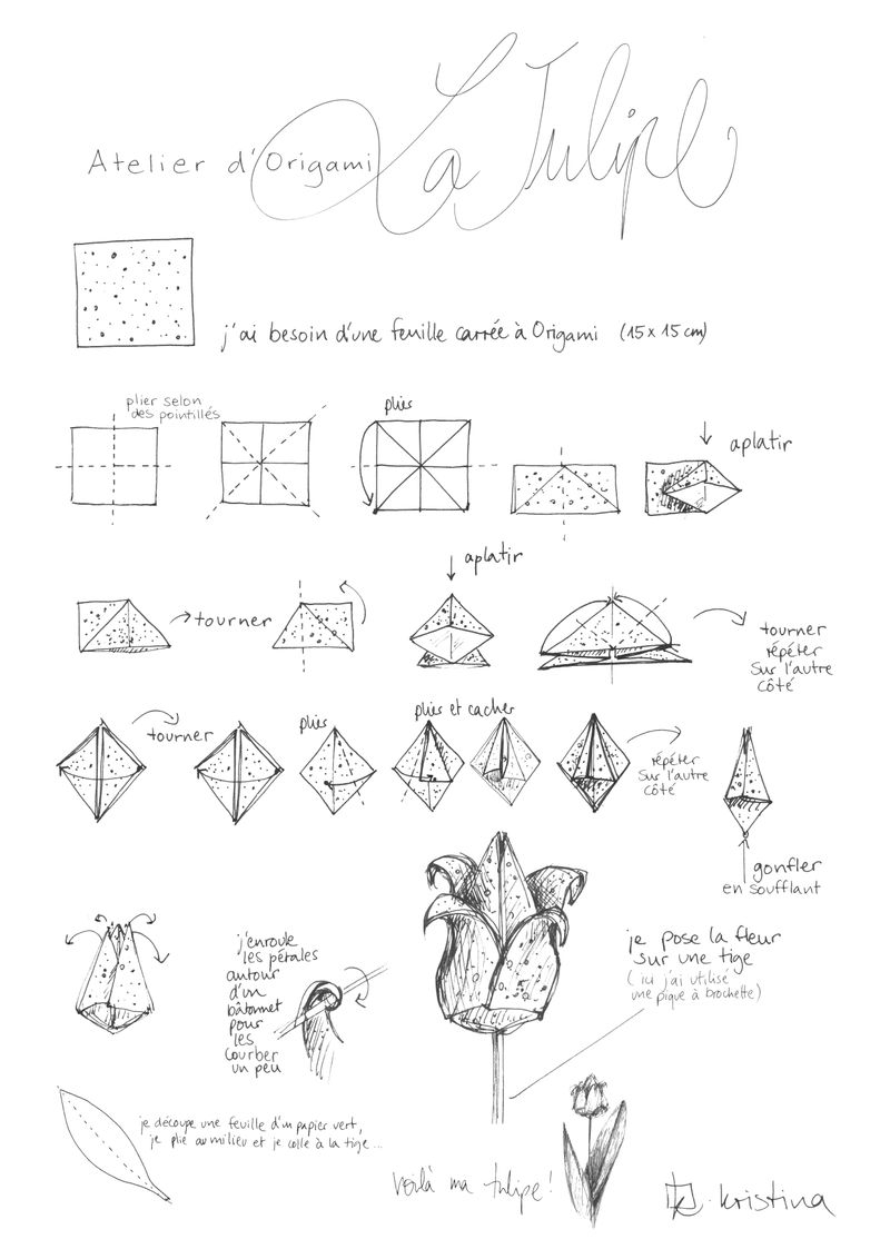 Origami Tulipe FIFI explications